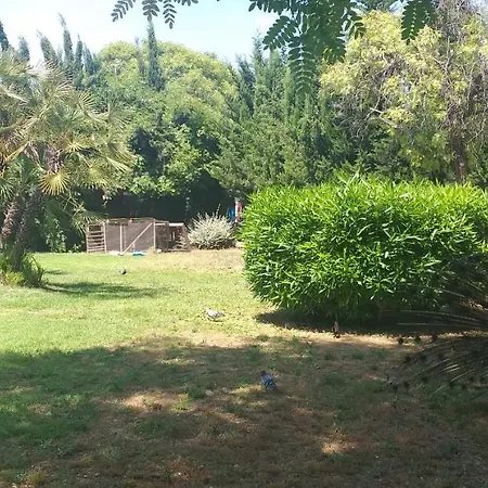 Belsol Apartamento Torrevieja