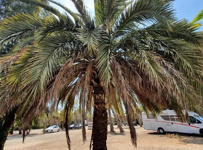 Apartmán Belsol